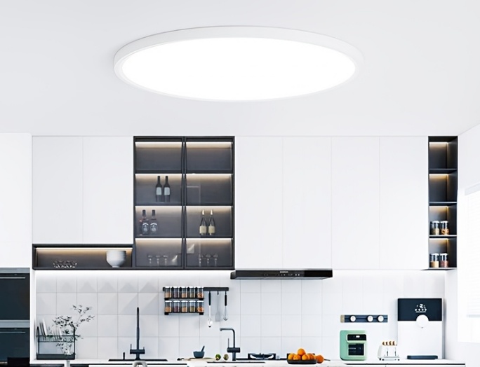 LED Pendant Light