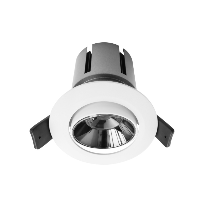 DL12 Downlight