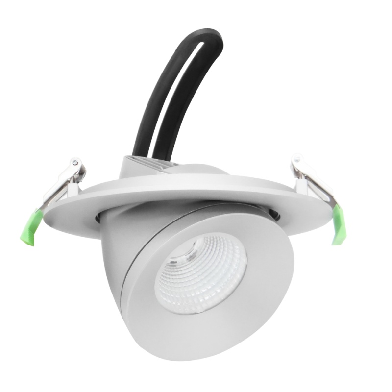DL31 Downlight