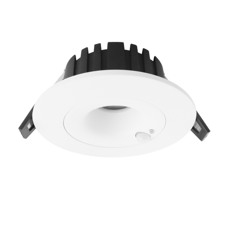 DL30 Downlight