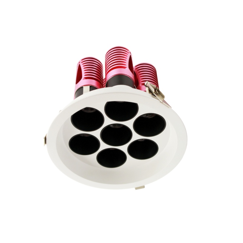 DL21 Downlight