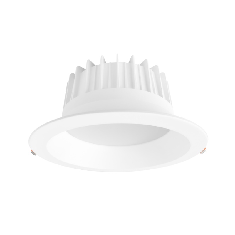 DL302 Downlight