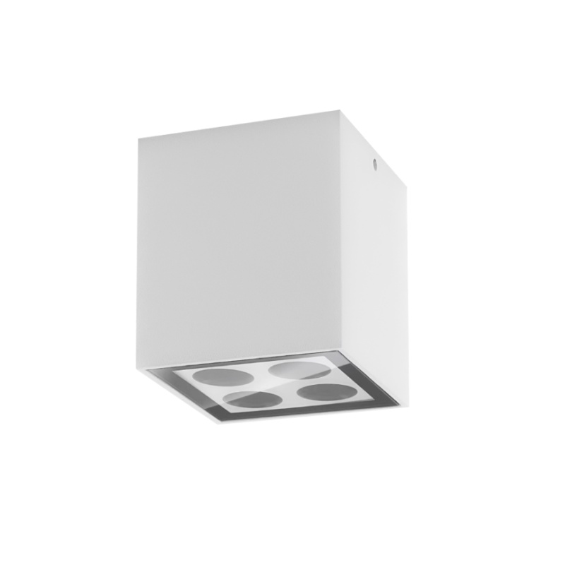 SDL01-S Surface Mounted Light