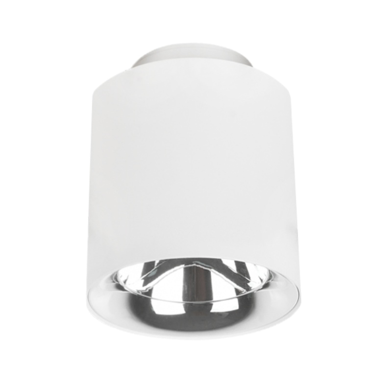 SDL09 Surface Mounted Light