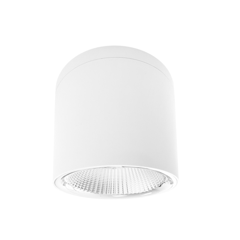 SDL13 Surface Mounted Light