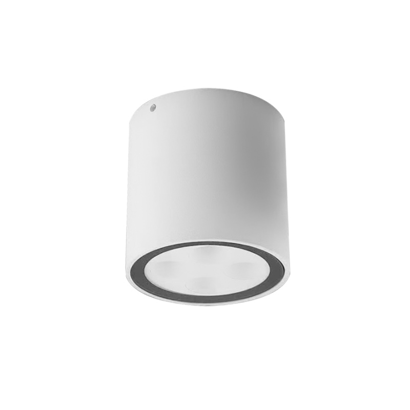 SDL01 Surface Mounted Light