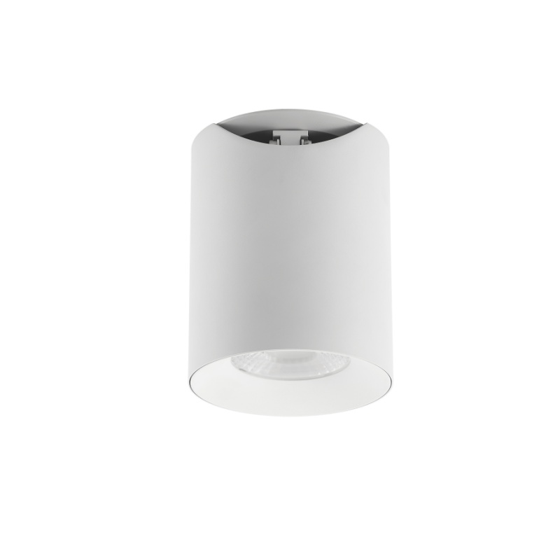 SDL10 Surface Mounted Light