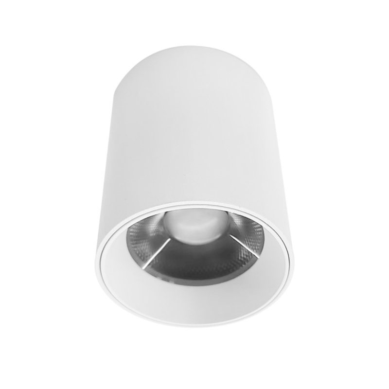 SDL04 Surface Mounted Light