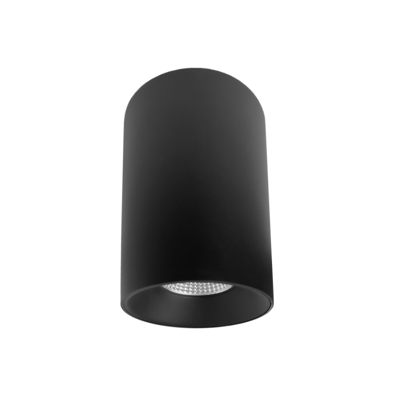 SDL06 Surface Mounted Light