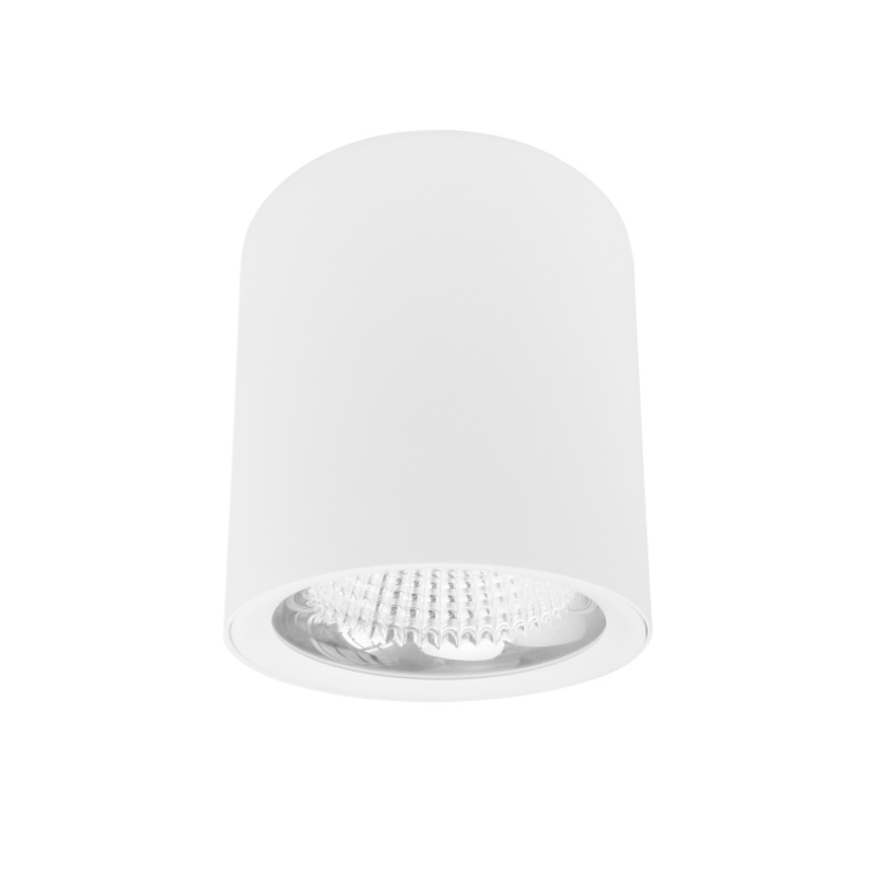 SDL02 Surface Mounted Light